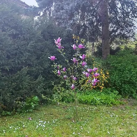 Smestaj Vanja Arilje