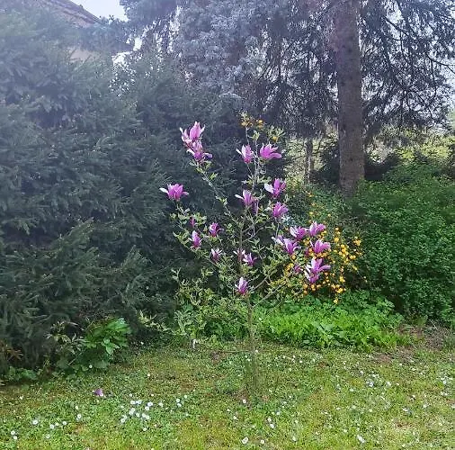 Smestaj Vanja Arilje